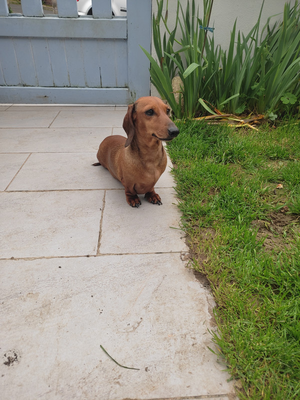 [Image: IMG-20240406-170746.jpg]