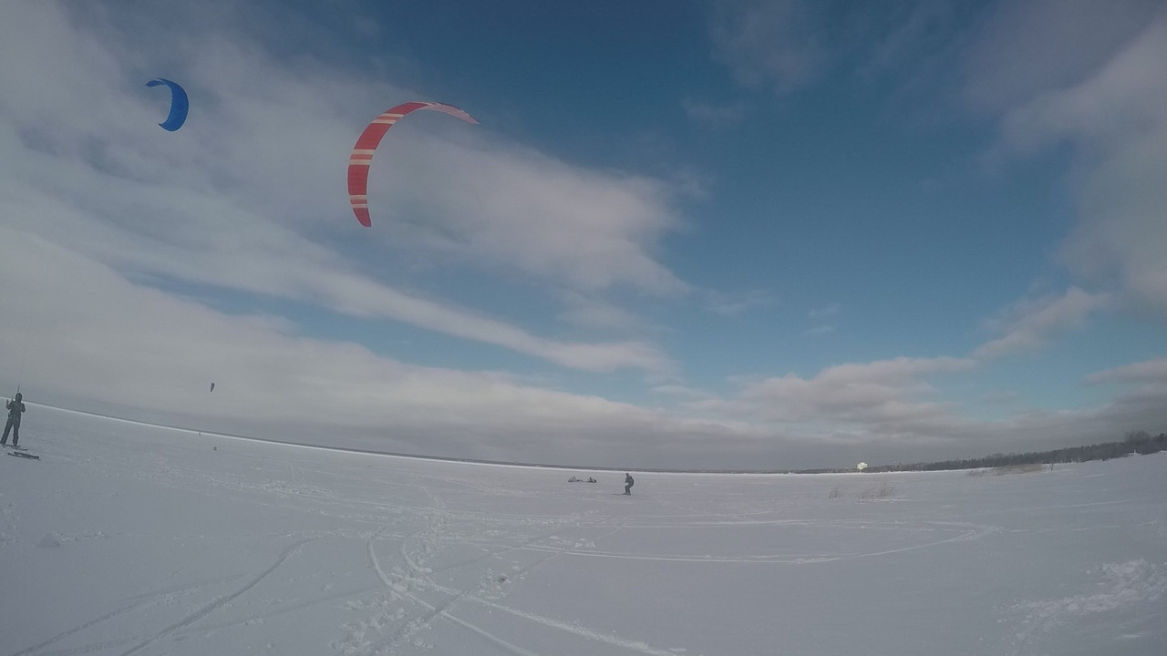 дубки сегодня