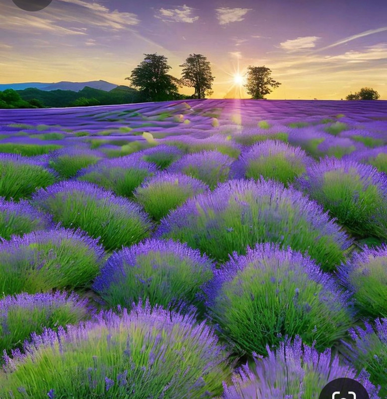 Screenshot_20240512_184146_Pinterest