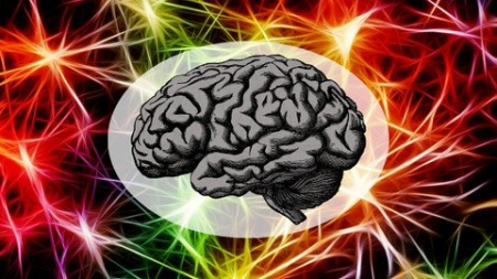 Basics of Neuroscience