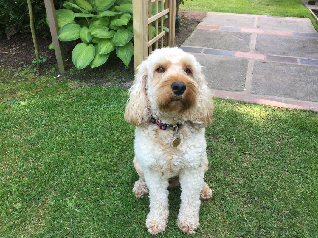 E653B450-9F95-4E9D-A69D-2EB15F6291FE