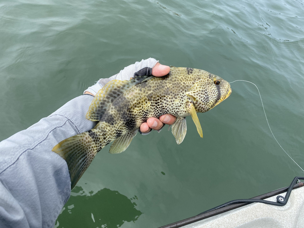 A027114E-A6BA-4F3F-A56C-462F4A76690F