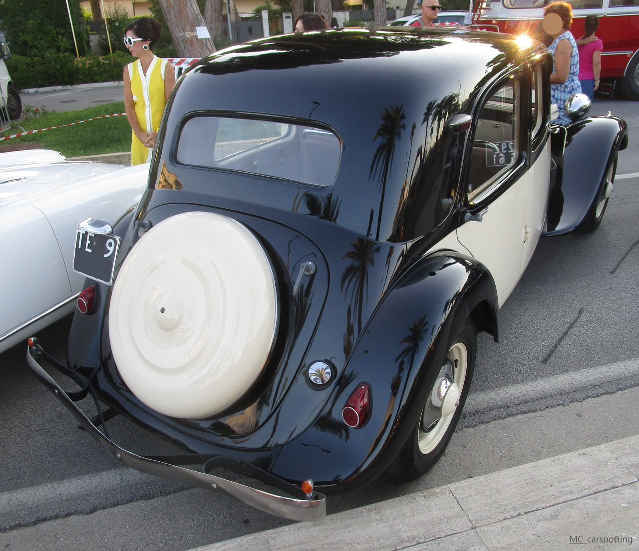 IMG-8995.jpg