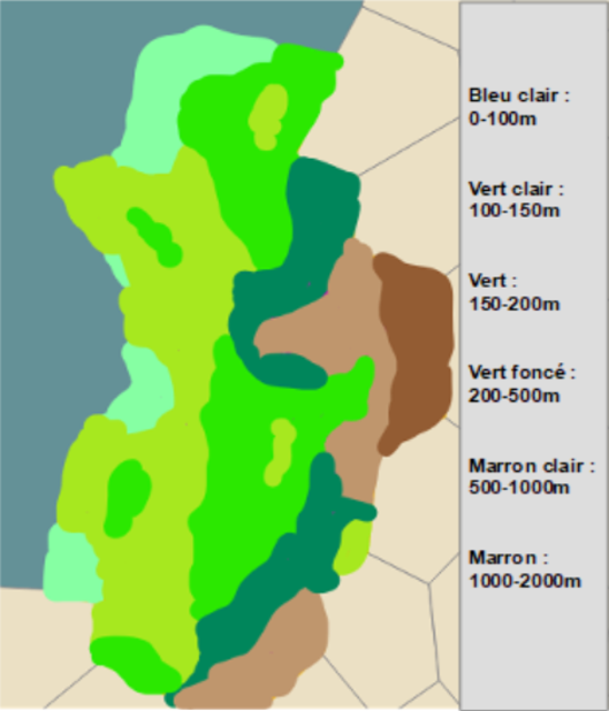 https://media.discordapp.net/attachments/1131337004588740689/1131536032844763207/topographie_n2_afaree_avec_legende.png?ex=65e9998d&is=65d7248d&hm=6359c34da21b7785a8876d1466af447972d25723c3ec0e4a6b494e588ebf26a3&=&format=webp&quality=lossless&width=490&height=573