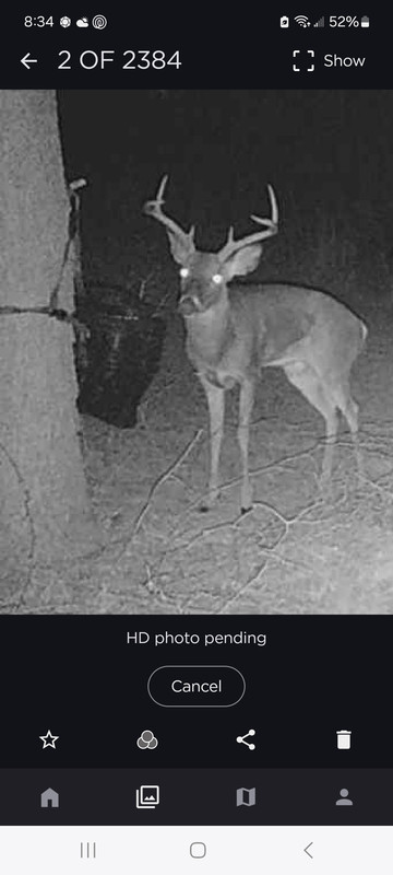 Screenshot_20250208_203447