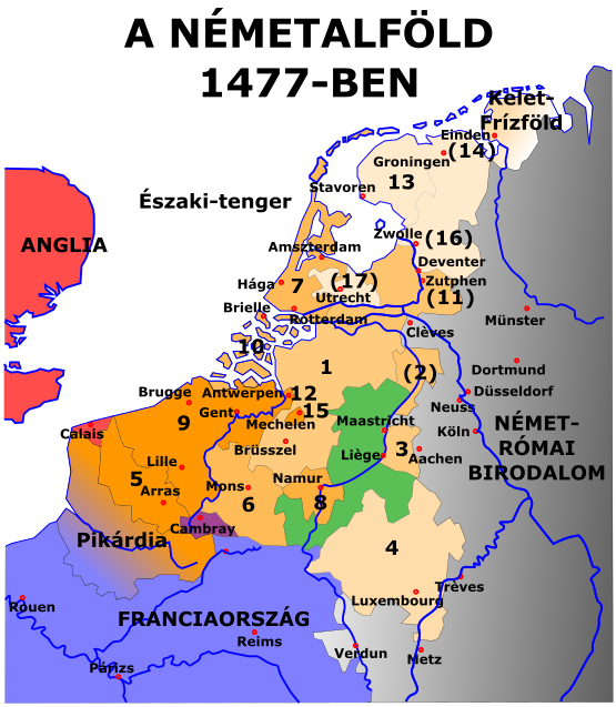 Kép