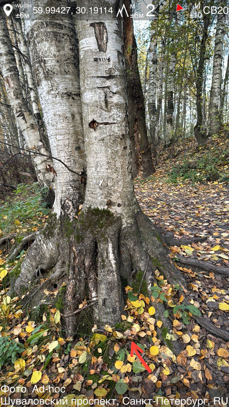 1b25845cfb6f54ee6a48b4e61ae20b59