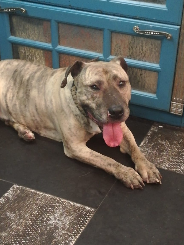 2026754F-756D-4CBD-B94E-6F0DDF9329EC