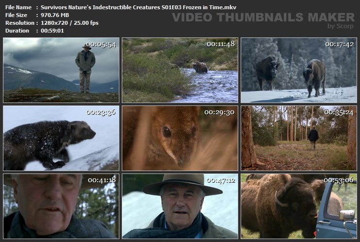 Survivors Nature's Indestructible Creatures S01E03 Frozen in Time.mkv