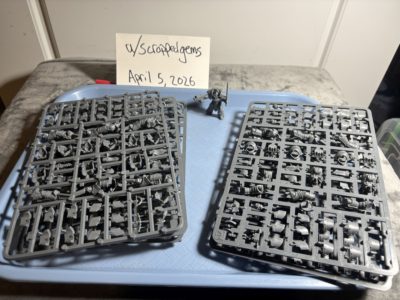 Cataphractii (2026 Both Sets from Siege Box) 01