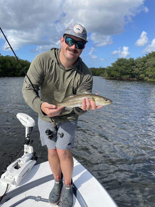 AD706EC8-2430-4650-8550-988BED41EA89