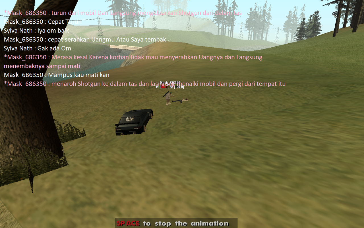 sa-mp-010.png