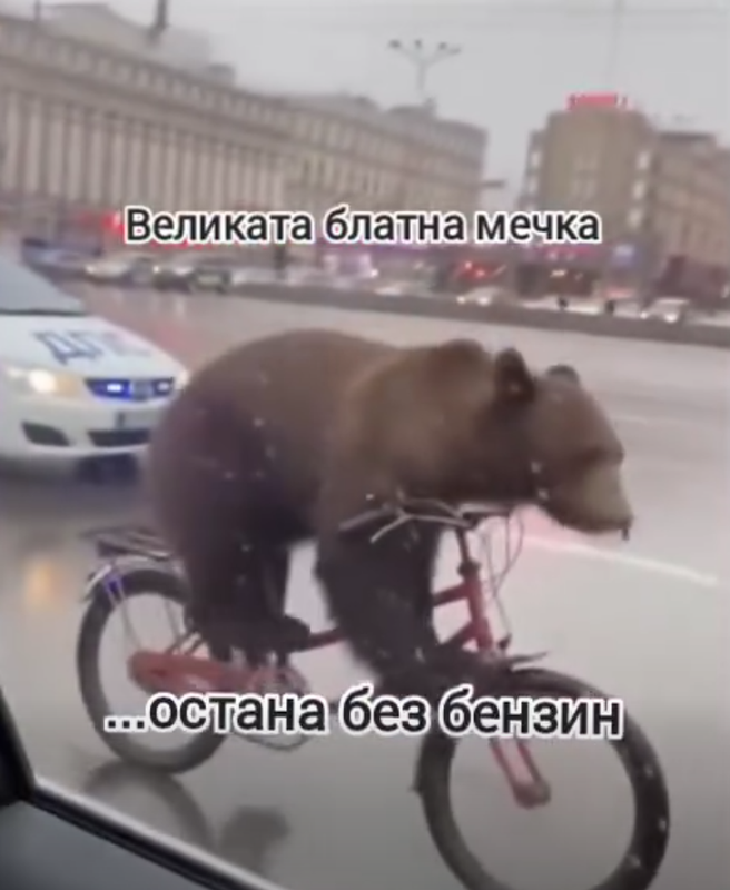 blatna-mechka.png