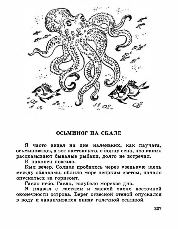p0019