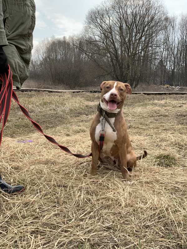 image-09-04-23-05-38-27 (1)