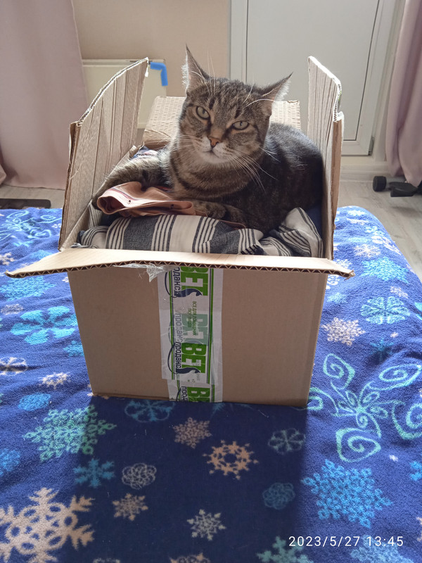 IMG_20230527_134525_1