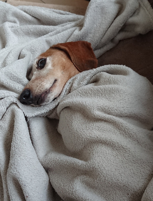 [Image: 20231021-164155.jpg]