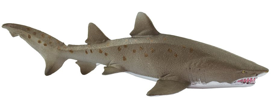 The 2020 STS Sea Life Figure of the Year - Cormorant by Papo! - Page 2 Safari-ltd-Sand-tiger-shark