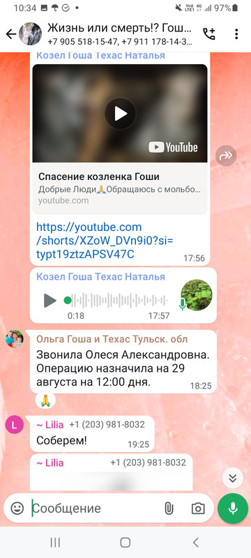 Screenshot-20240818-103451-Whats-App.jpg