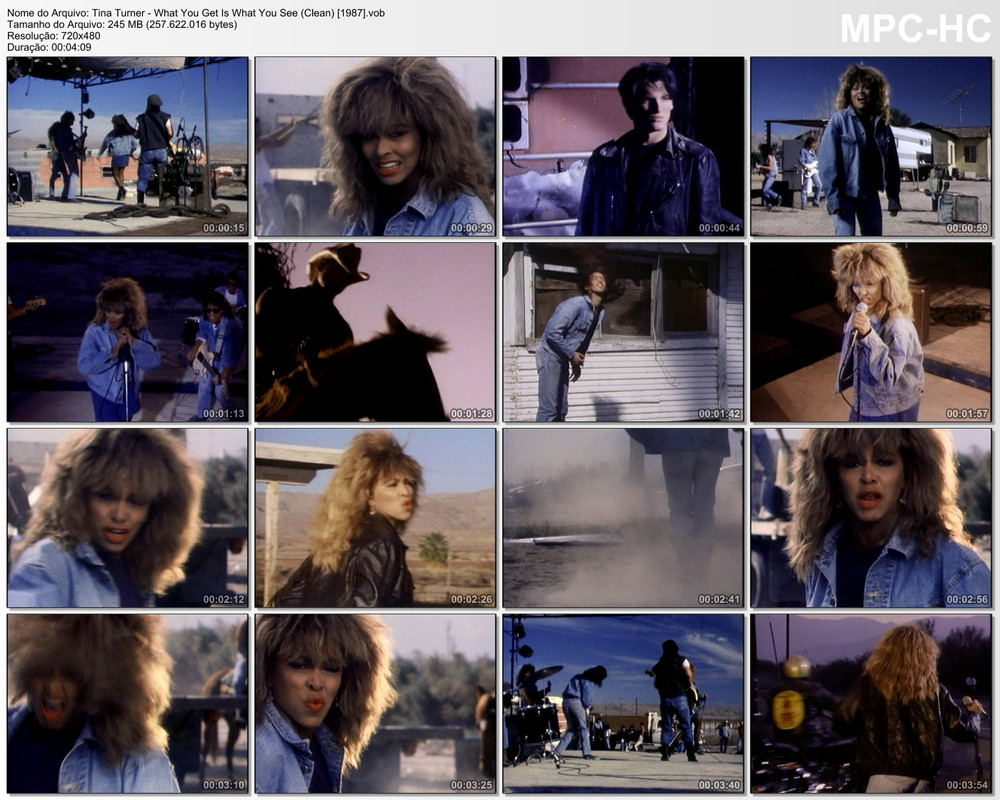 Tina Turner - What You Get Is What You See (Clean) [1987]