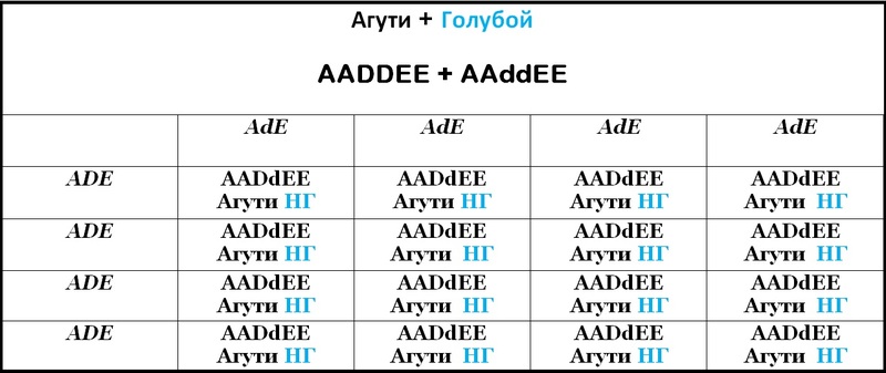 Таблица 7