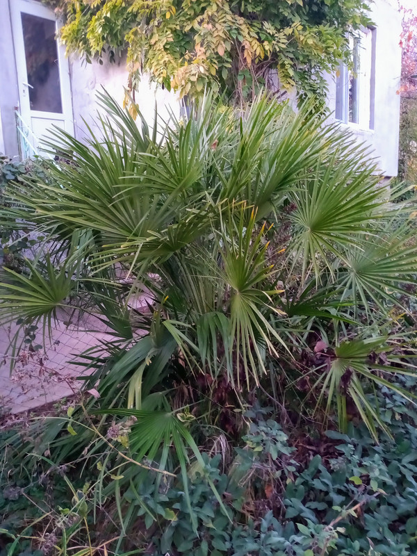 IMG_20211119_164141598~2