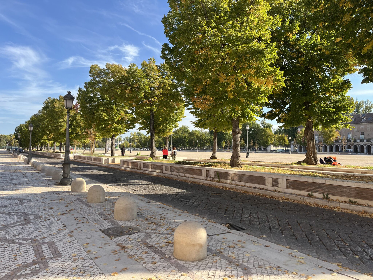 Foto cedida por Ayuntamiento de Aranjuez