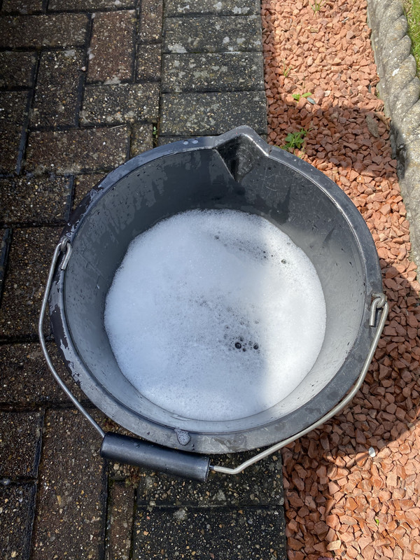 2021-07-29_13-29-19_IMG_0304