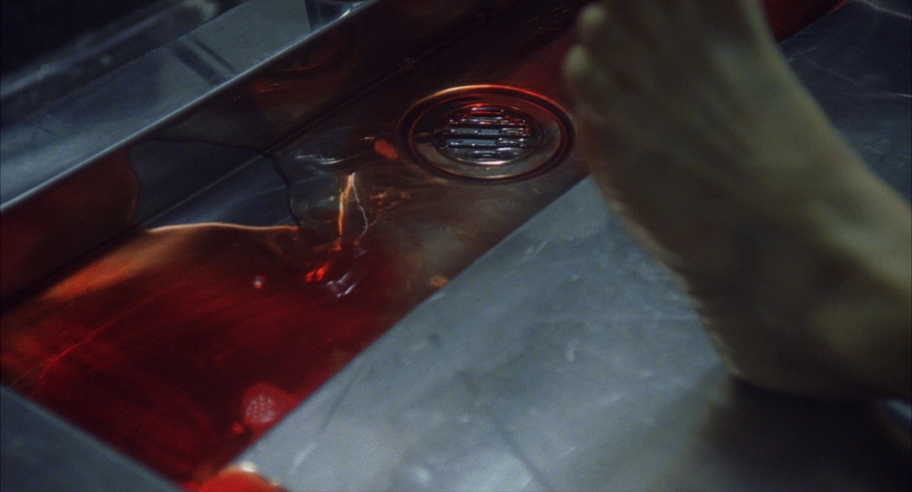 vlcsnap-2023-11-18-15h24m15s609