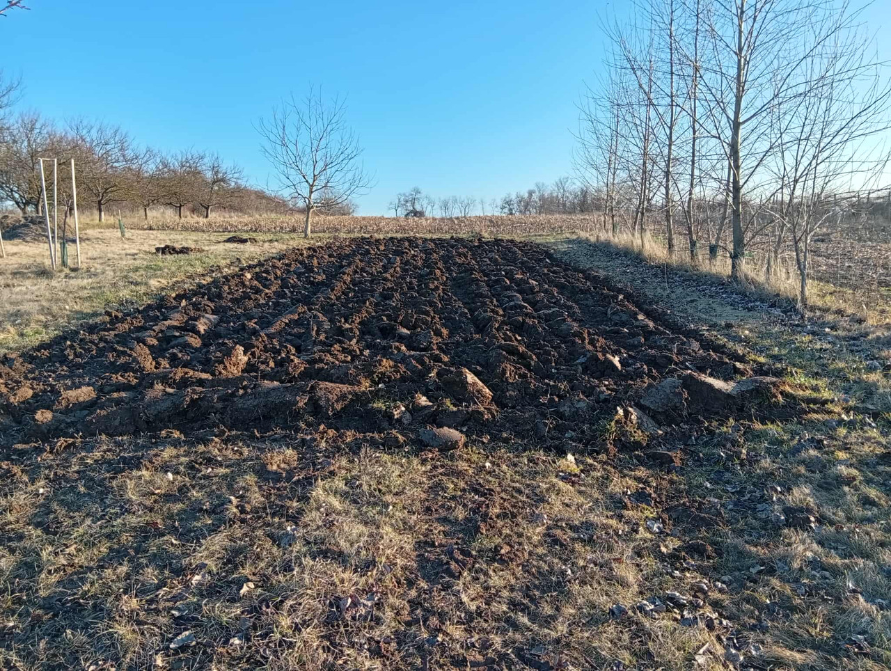 606013580 1700345691347470 5157120397708717024 n