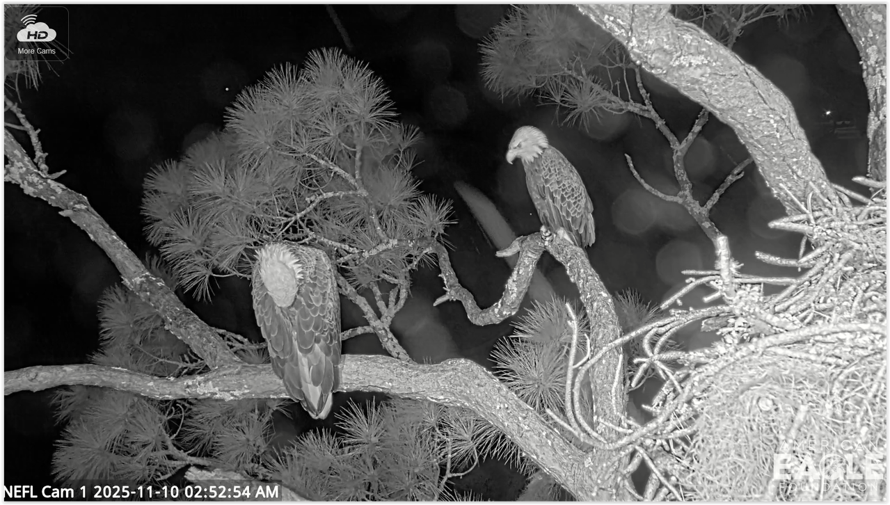 Screen Shot 11 10 25 at 08 54 AM