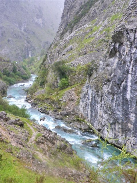 PICOS DE EUROPA-16-5-2013-LEON/ASTURIAS/CANTABRIA - Paseando por España-1991/2016 (70)