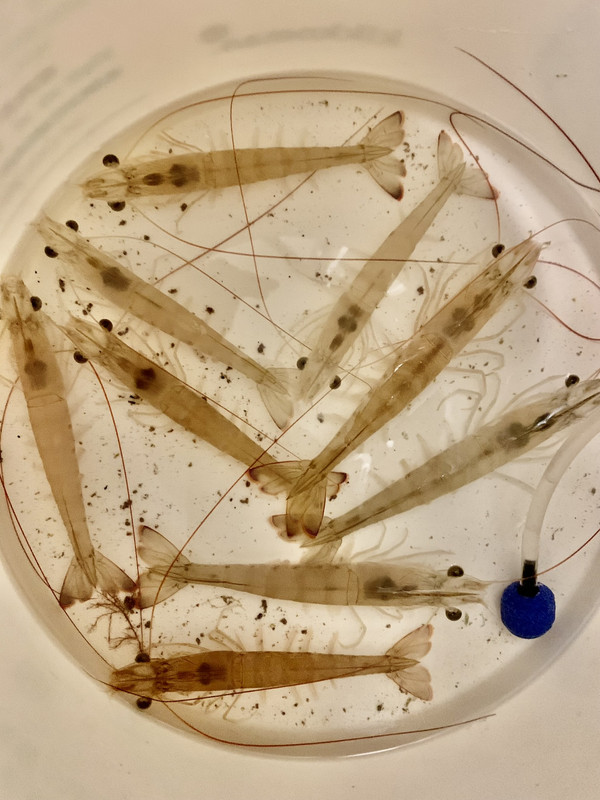 F2ECC7A4-9132-4AD7-ACE4-50DD0C4778EB