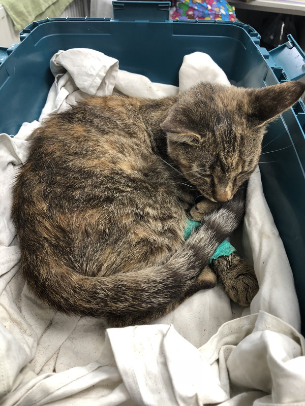 EC8AA7A4-2545-489D-B6B5-24C3D81EAF73