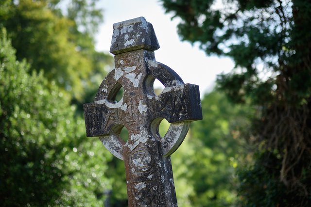 10 días por Irlanda en verano de 2024 - Blogs de Irlanda - DÍA 5 – Castillo Blarney – Parque Nacional Killarney (24)
