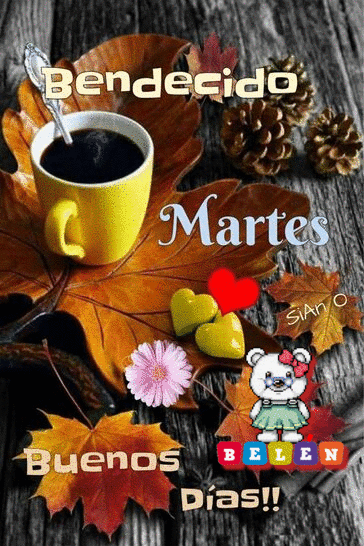Cafecito de Noviembre / Novembers Cafecito | 1925 Pike Rd. Suite 202, Longmont, CO, United ...