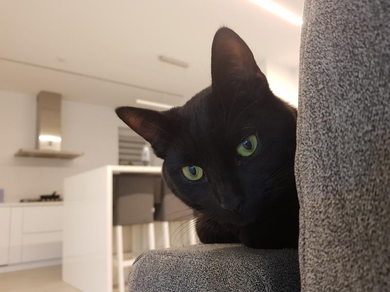 20191230-205524.jpg