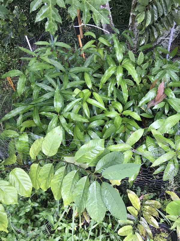 573CB14E-AE6F-41F5-8CF3-DBE268A17B5B