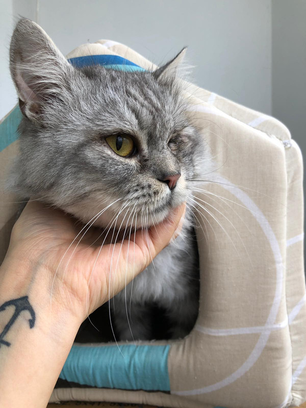 изображение_viber_2019-09-30_12-56-29