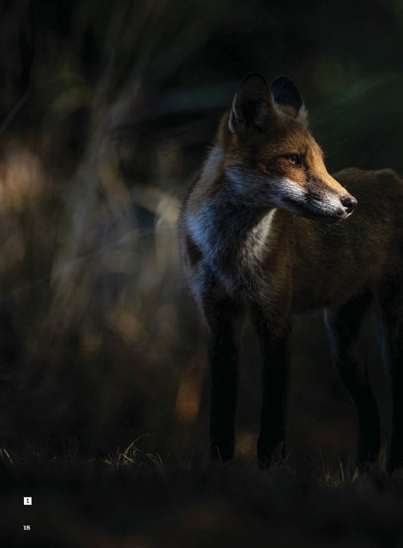 N Phot - Set-Ott 2023 (3)