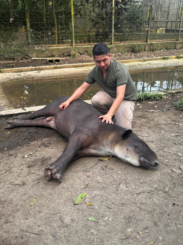 Whats-App-Image-2026-04-25-at-11-55-50-PM