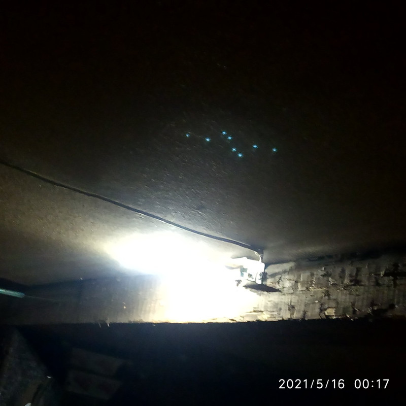 16210990027558363406118336981565