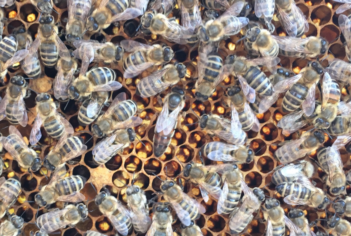 2735C7EA-D640-455F-9EF6-8016F4C1F753