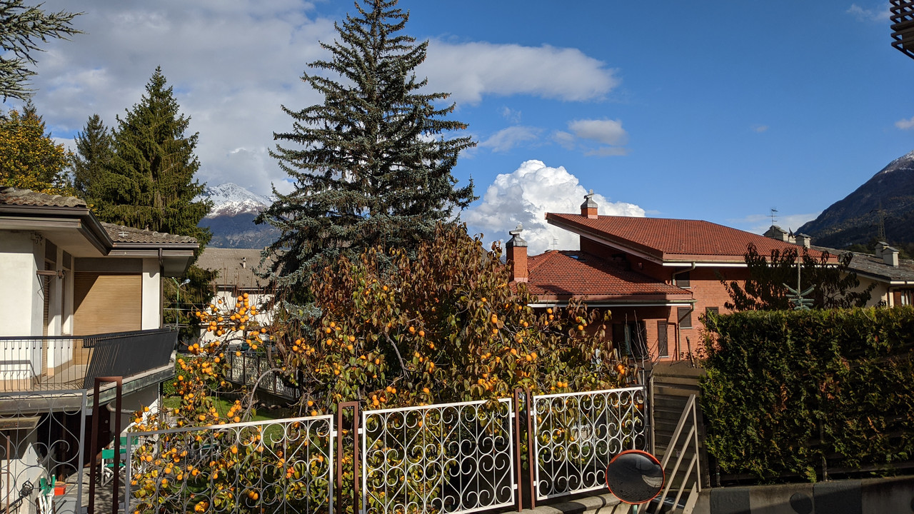 IMG-20191105-135202.jpg
