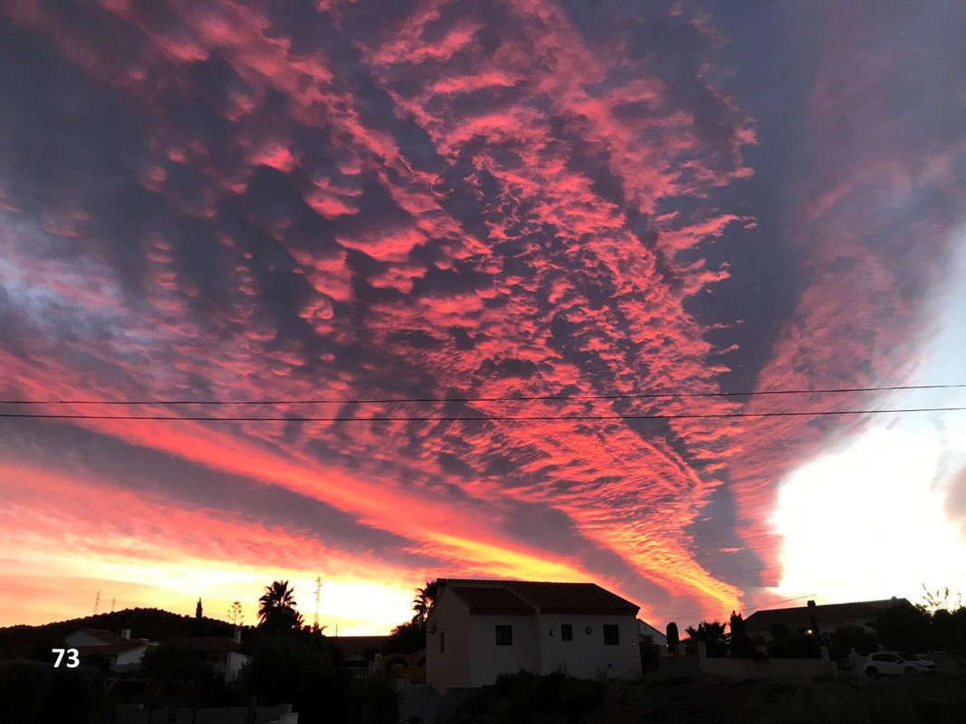 73 ldjE28C332A-03DA-4AA0-ADF2-9E2D16A6596E (1)