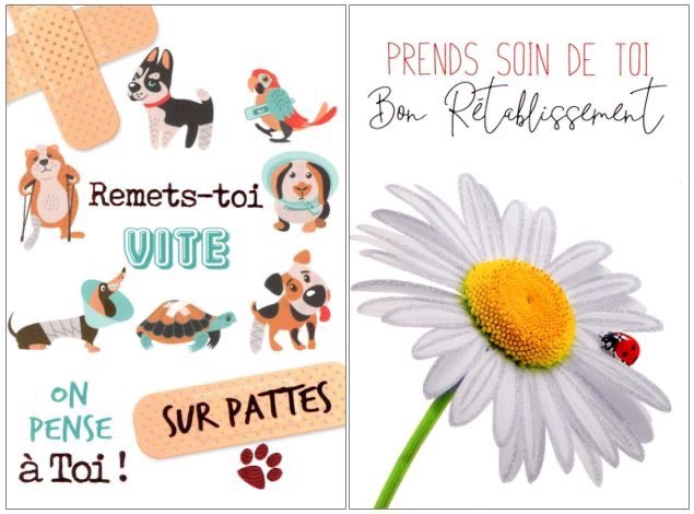 [Image: IMG-0924.jpg]