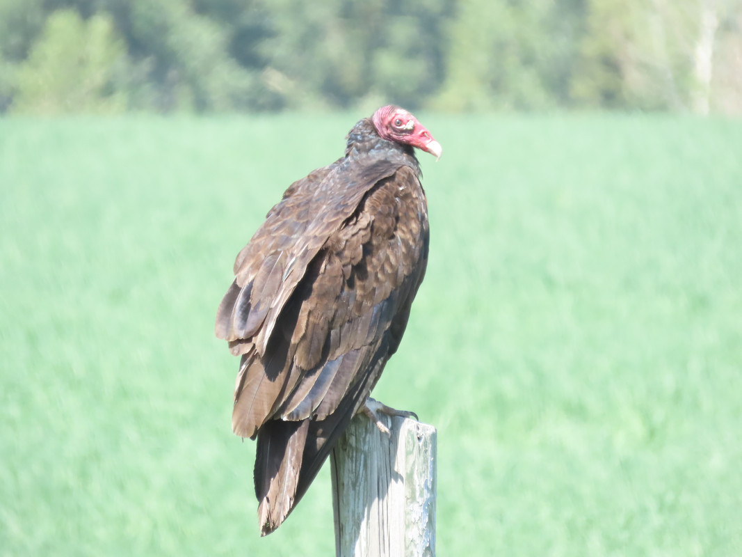 CB703343-4A8B-4B2C-96CA-CF3D151BF3B0