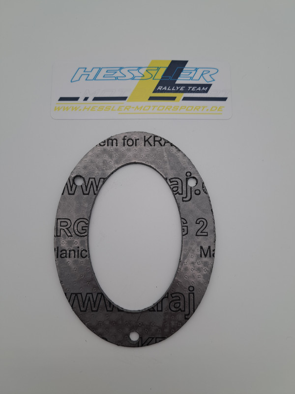 Dichtung fr LEO VINCE X3 Endkappe