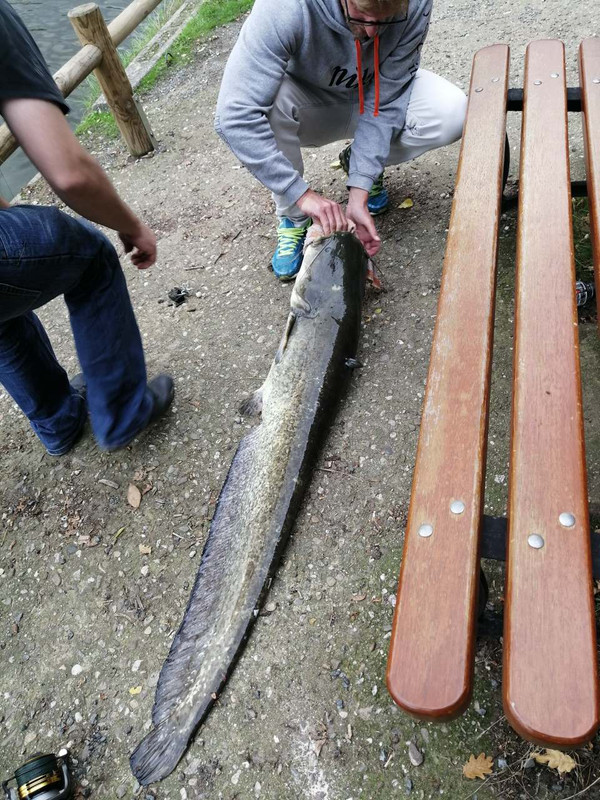 IMG-e8f4ea2d70e08e545aee491a84095a6f-V-1