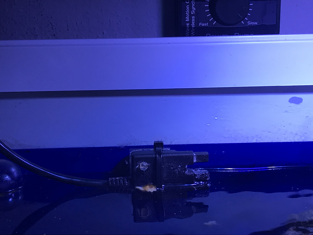 55558C85-80A9-4738-857F-11AA2E52D632